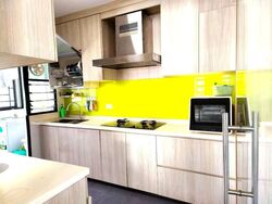 Blk 261C Punggol Topaz (Punggol), HDB 4 Rooms #587643241